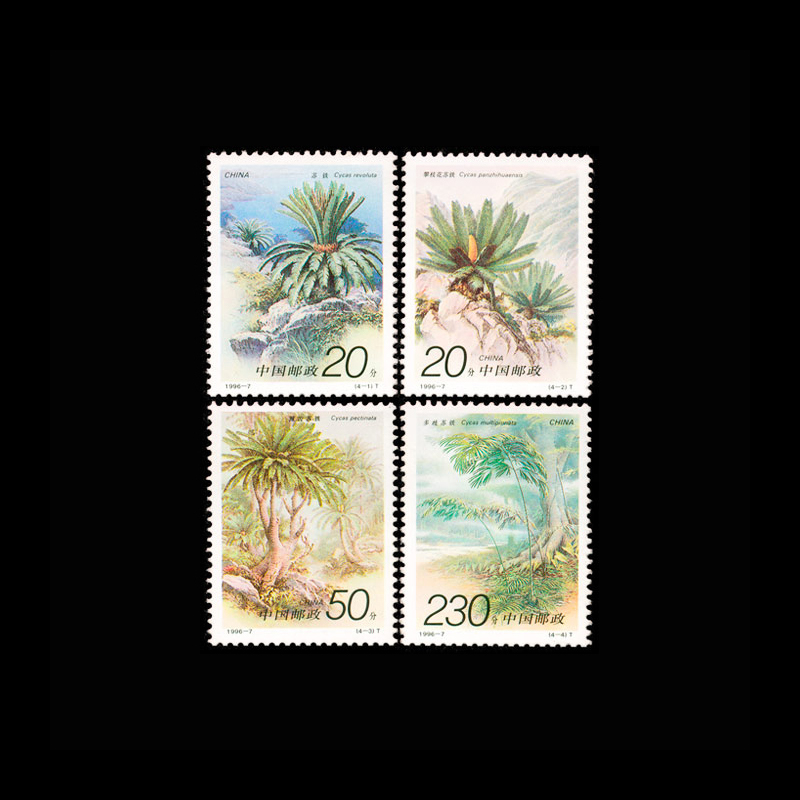 Vintage 1996 Chinese Cycas Pla - Vintage Collectible Stamps recensie en prijs